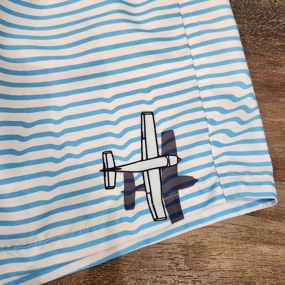 Boardies Men’s Swim Shorts Trunks Striped Blue White Size Medium - Picture 2 of 16